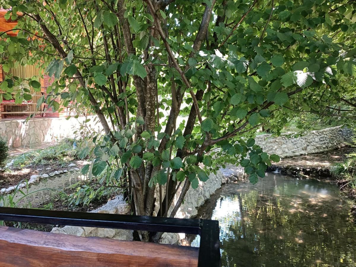 Live Nature Bihać Exteriör bild