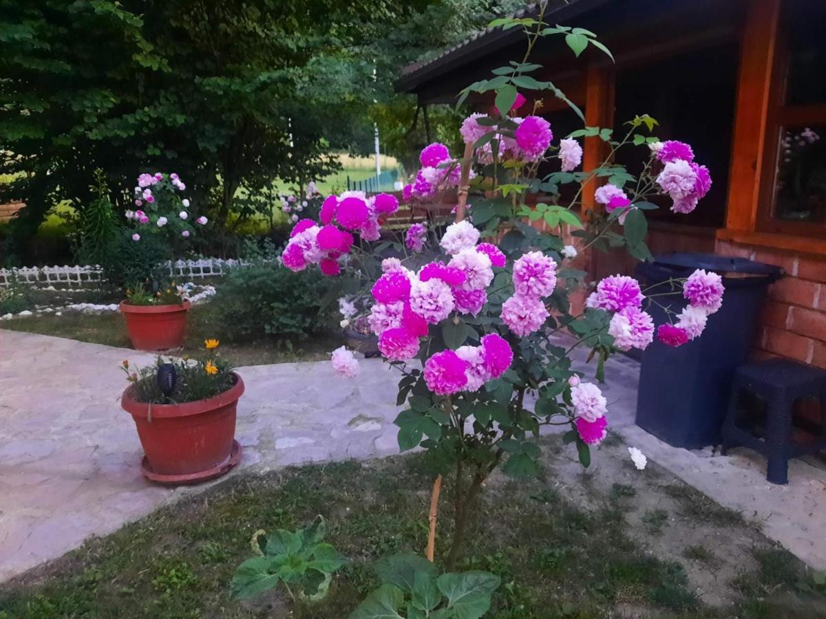 Live Nature Bihać Exteriör bild
